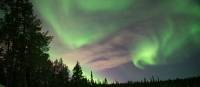 Swirling northern lights in Swedish Lapland |  <i>Ross Baker</i>