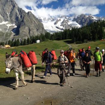 Family hiking clearance tours