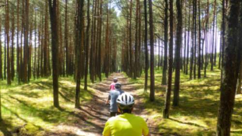 Cycling on the Curonian Spit | Gesine Cheung