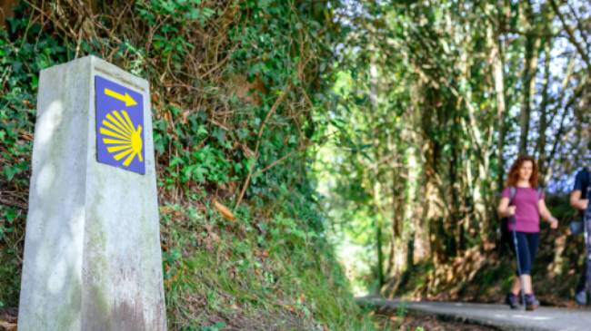 Walking the famous Camino de Santiago