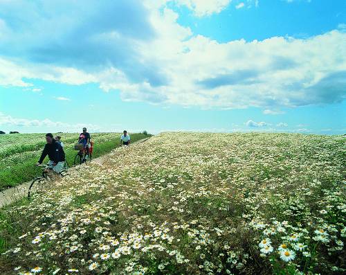 Denmark Cycling Tours | Self Guided Bike Holidays | UTracks