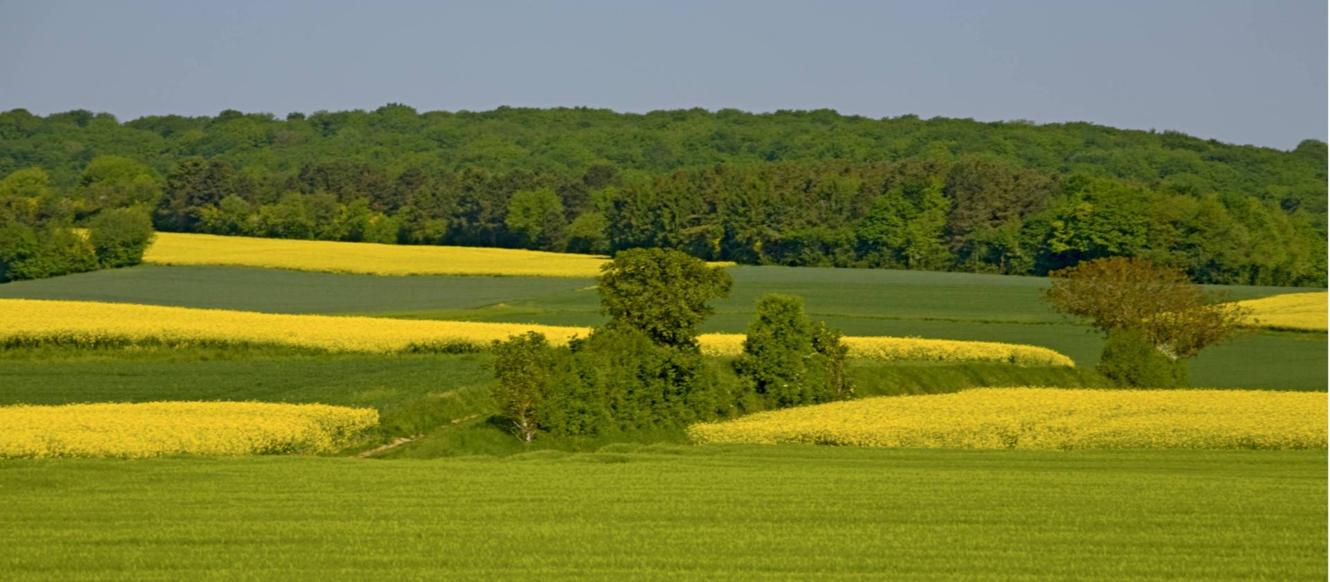 Champagne Trails Cycle Tour Guided European Bike Holiday