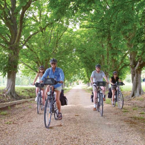 Provence Cycling Tours & Bike Holidays | UTracks