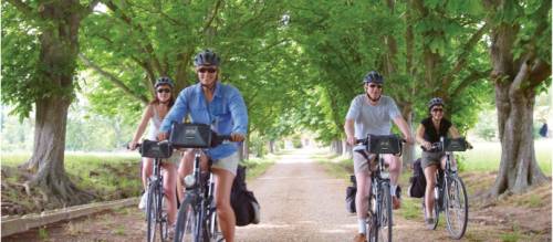 Easy bike tours sales for seniors