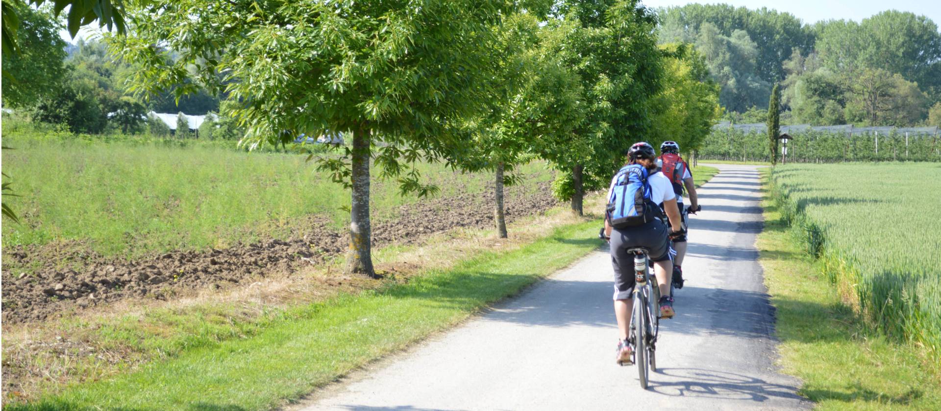 lake constance cycling holiday