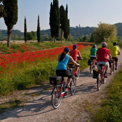 Best european best sale bike trips