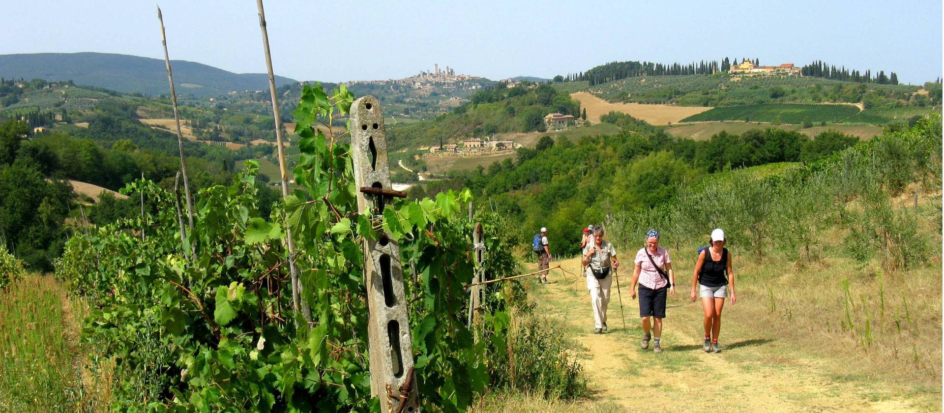 On the Via Francigena, San Gimignano in the distance