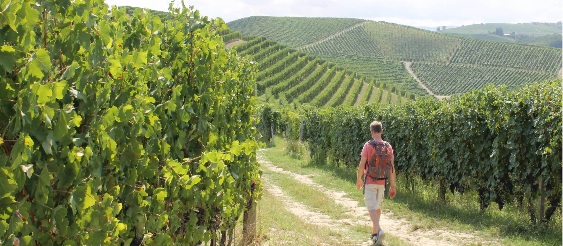 Piedmont: Land Of Barolo And Barbera | Italy Walking Holiday