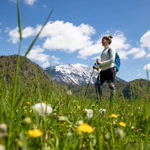 8 Amazing Things to Do in Lake Bled, Slovenia – Earth Trekkers