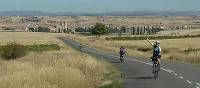 Cyclists in Rioja