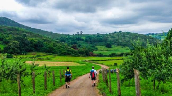 Walking the vibrant green countryside of the Camino Primitivo