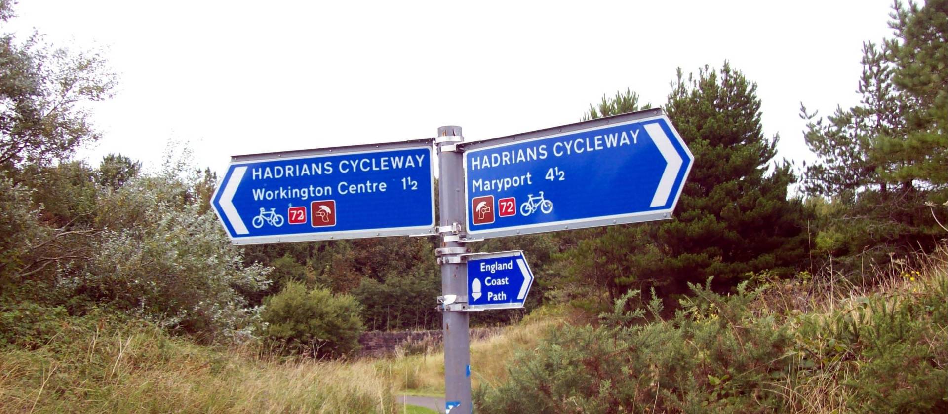 Hadrian's wall 2024 cycle holidays