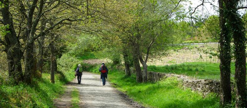 🥇 How to choose the RIGHT Camino de Santiago Route for you? ✌️